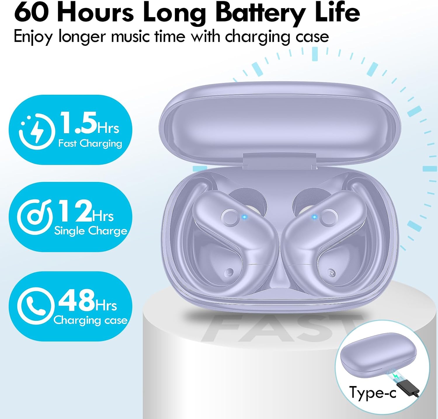 Wireless Ear-hook Earphones Bluetooth Earbuds Over the Ear Headphones True Stereo Charging Case Hands-free  - ONXW143 2492-8